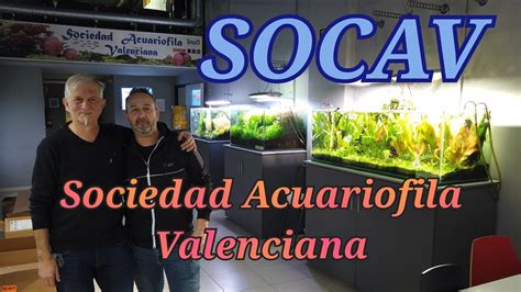 socav valencia|Sociedad Acuariofila Valenciana (socav)